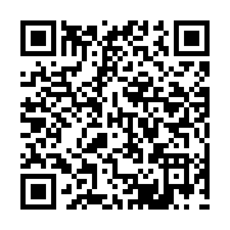 QR code for T216L