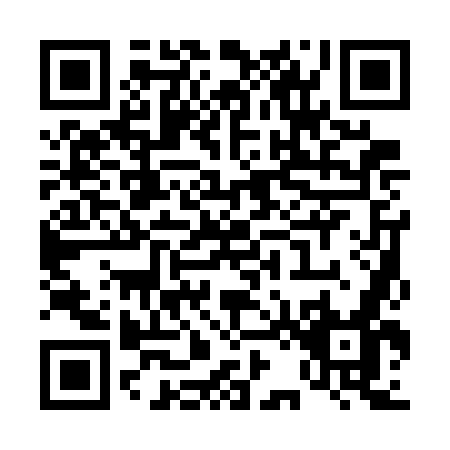 QR code for T217O