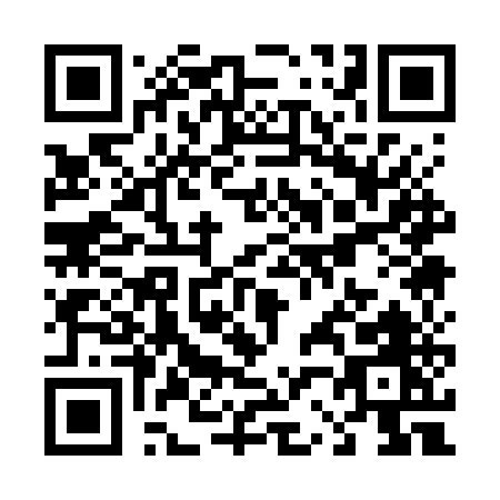 QR code for T217U