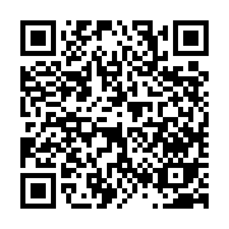 QR code for T225C