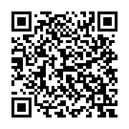 QR code for T225WO