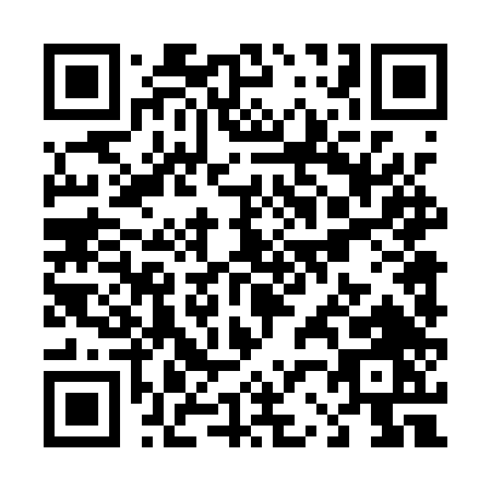 QR code for T241T