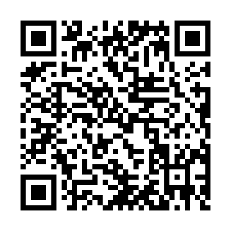 QR code for T245I