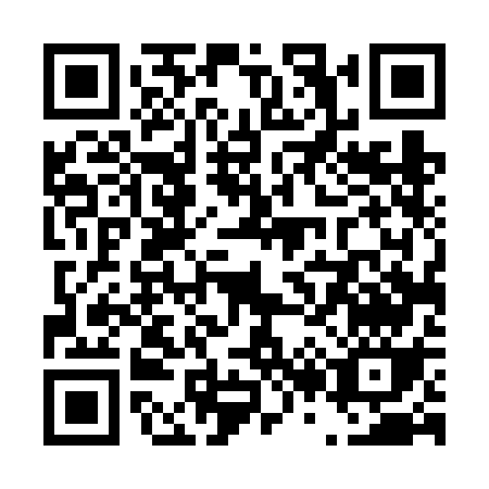 QR code for T246G