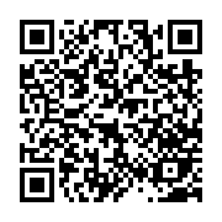 QR code for T246P