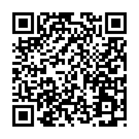 QR code for T256N