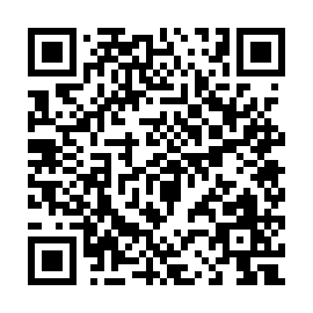 QR code for T271Q