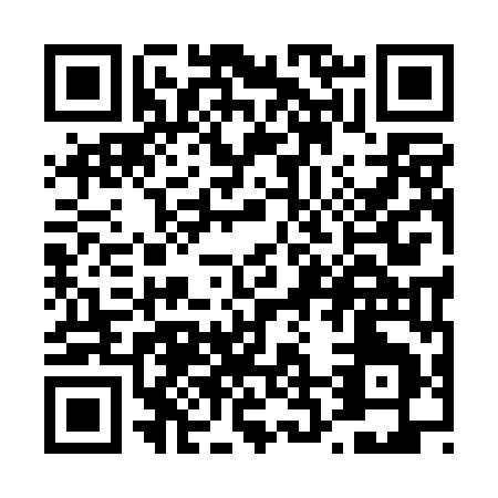 QR code for T290M