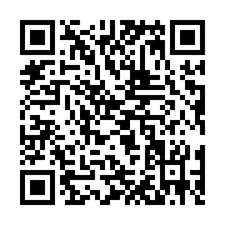 QR code for T291S