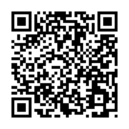 QR code for T294E