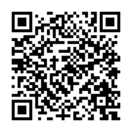 QR code for T295Z