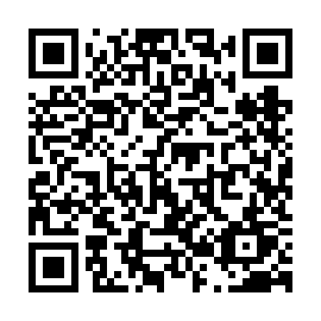 QR code for plate T29 6KT