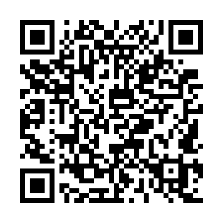 QR code for T297MI