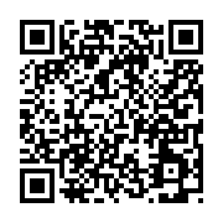 QR code for T298P