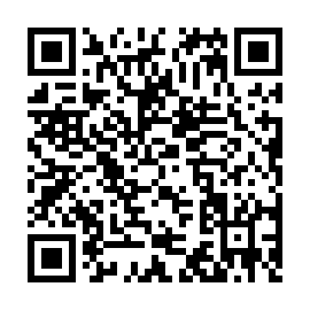 QR code for T300A