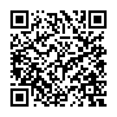 QR code for T308G