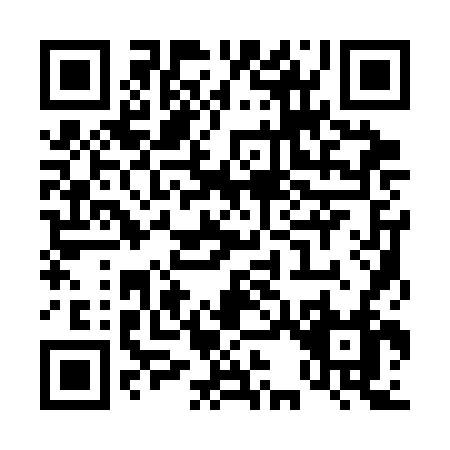 QR code for T313F