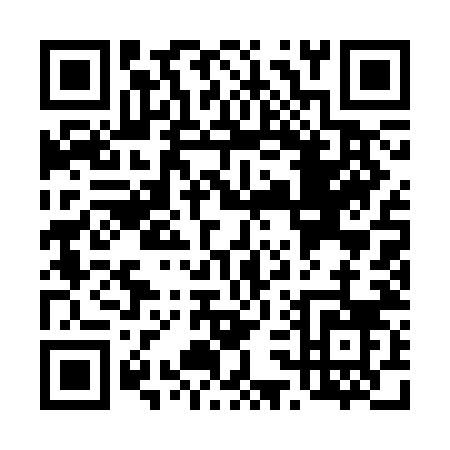 QR code for T313N