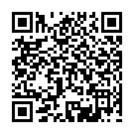 QR code for T313T