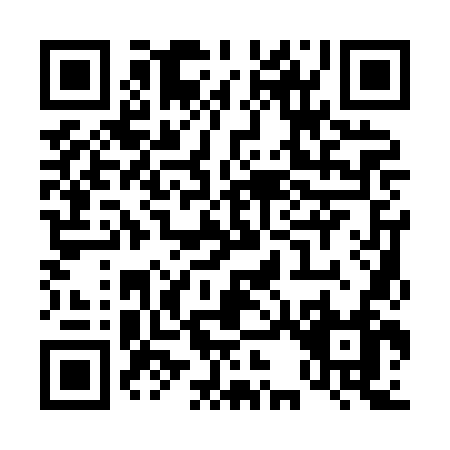 QR code for T318N