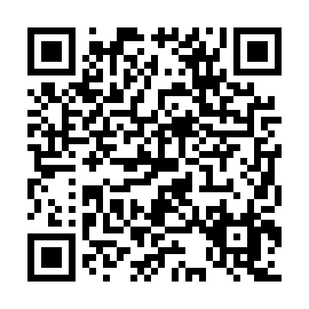 QR code for T325P
