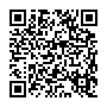 QR code for T333H