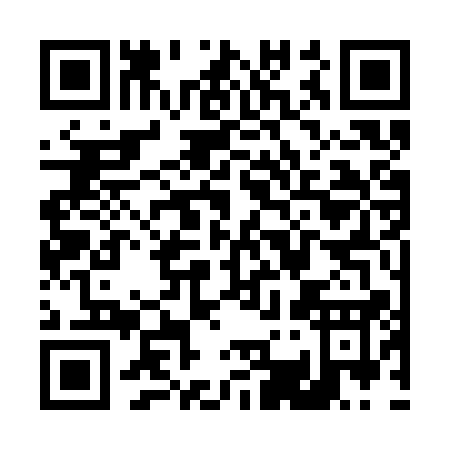 QR code for T333Q