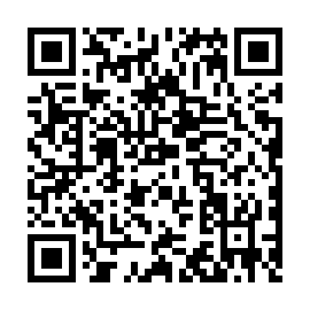 QR code for T365S