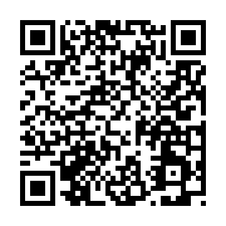 QR code for T366N