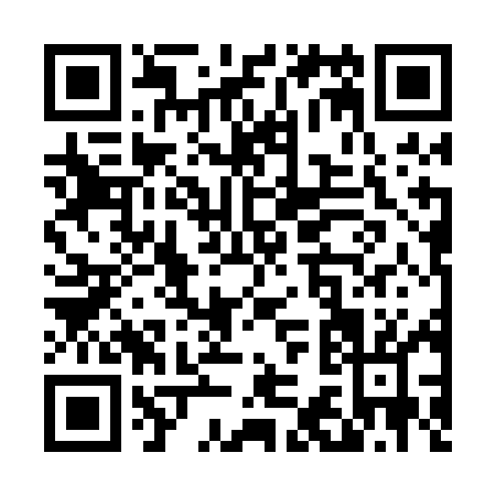 QR code for T370M