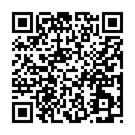 QR code for T371S