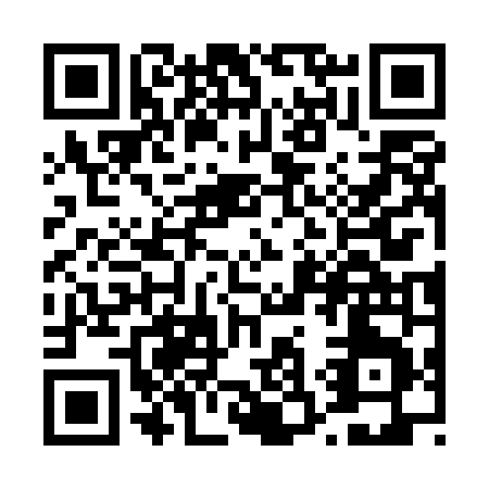 QR code for T375N
