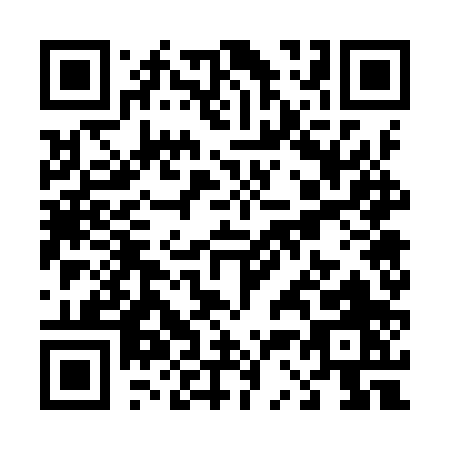 QR code for T379P