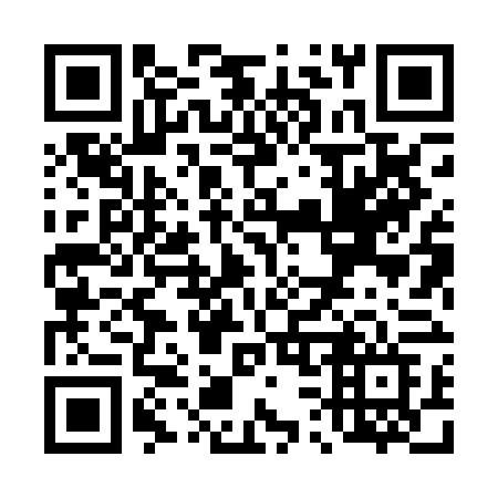 QR code for T380FF