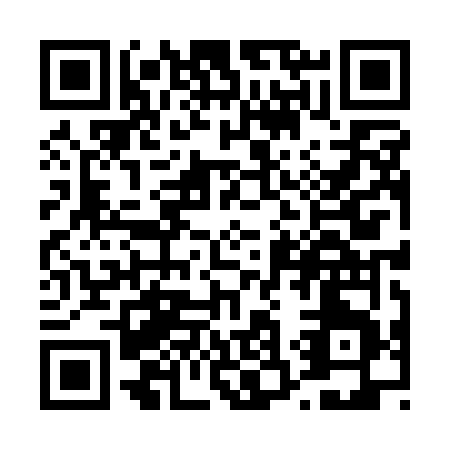 QR code for T381F