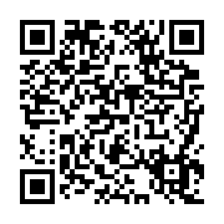 QR code for T383V