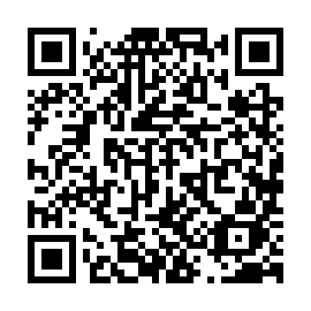 QR code for plate T38 3YJ