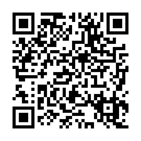 QR code for T384R