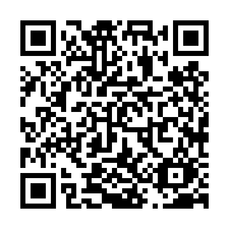 QR code for T384SO