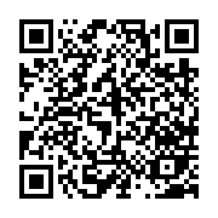 QR code for T386P