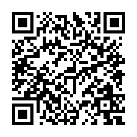 QR code for T386S