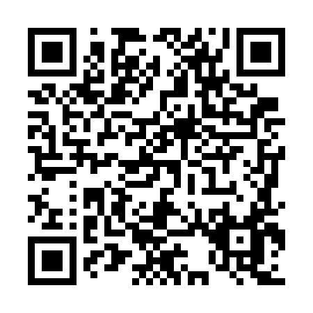 QR code for T387I