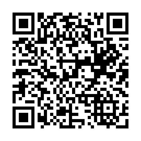 QR code for T387LE
