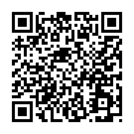 QR code for T387R