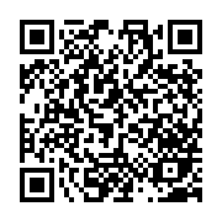 QR code for T390H