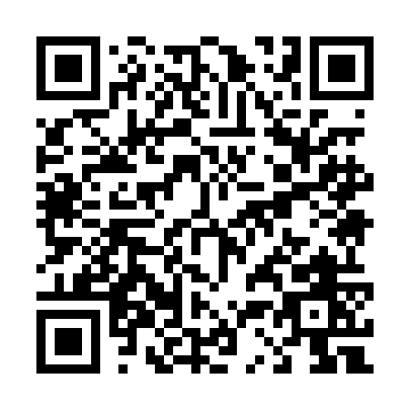 QR code for T390O