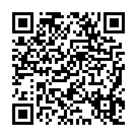 QR code for T390V