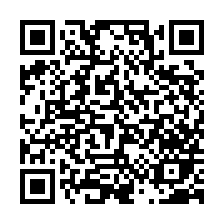 QR code for T391H