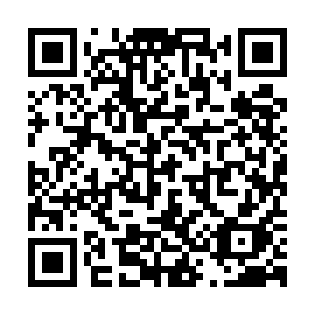 QR code for T395AH