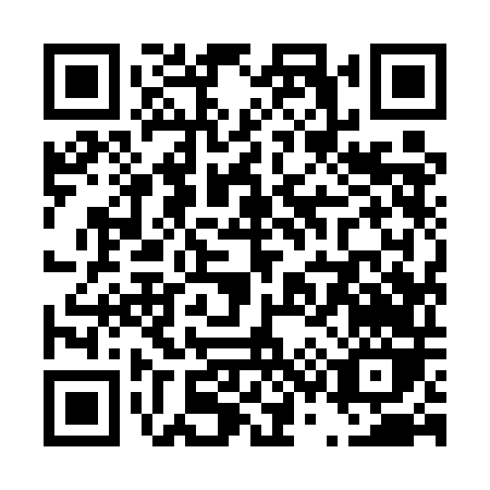 QR code for T395D